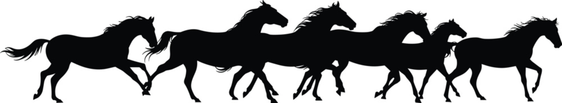 Running horse silhouettes herd in motion, wild mustang galloping group isolated on white background, dynamic animal vector illustration, speed and freedom concept
