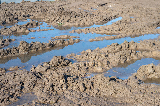Deep tractor tire tracks filled with water on muddy agricultural field, wet soil after rain, farming land conditions and soil compaction concept.