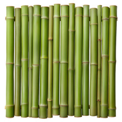 Obraz premium Bamboo fence garden texture green section isolated background white natural, macro cutout for decor, zen privacy screen