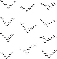 Obraz premium A collection of bird migration patterns, showcasing flocks of birds in V-shaped formations against a white background