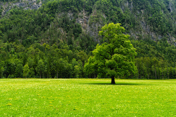Scenic summertime view in the beautiful Logar Valley in Slovenia.