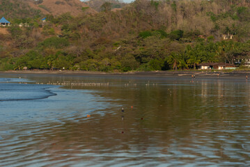 Pacific ocean waves gently lapping a sandy beach in Panama, with a dense tropical jungle landscape and distant buildings in the background - stock photo © Amaiquez