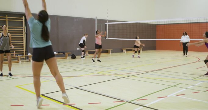 Diverse female volleyball team in gym, server serving ball, teal player doing sets, working passes