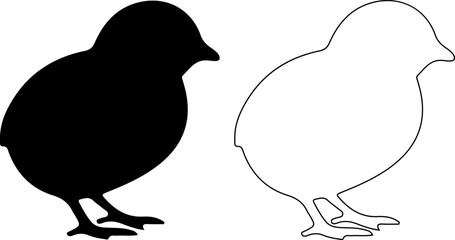 Baby chick silhouette, bird outline vector, farm animal © Hossain's Stodio 
