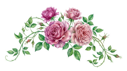 Naklejka premium Delicate watercolor painting of pink roses with green leaves and buds on a white background