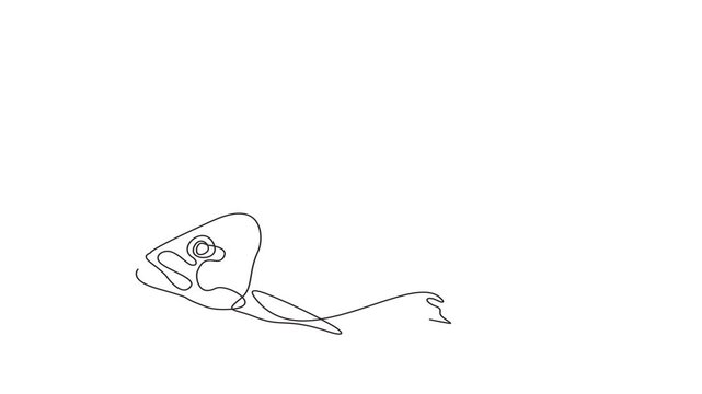 Animated self drawing of continuous line draw of  Fishing. The fish looks at the hook . Fishing underwateone.  Full length one line animation. 4K	