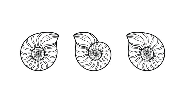 Nautilus Shell Line Art Vector Set. Minimalist Black and White Spiral Mollusk Icons for Design