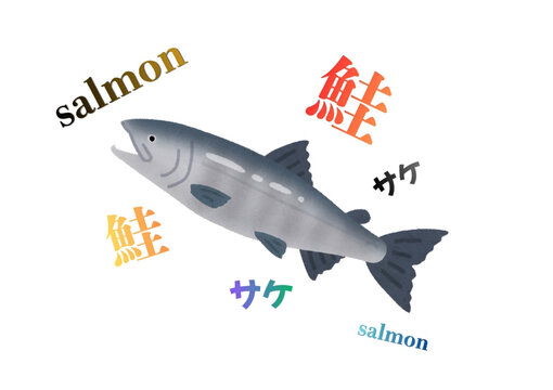 鮭 日本語・英語・漢字の名称入り