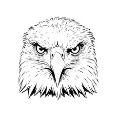 Logotipo con dibujo con líneas de la cabeza de un águila de frente  © teracreonte