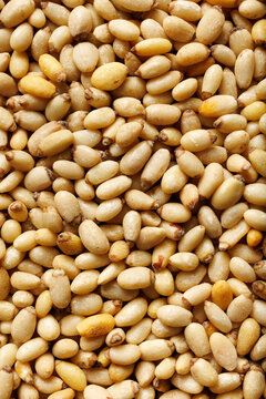 Pine nuts background, close up view