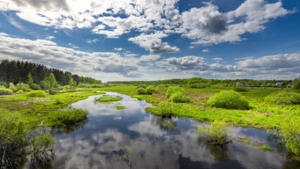 Blue sky with clouds reflects in calm, green wetlands © Sergei