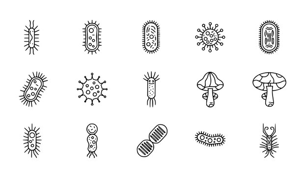 Microorganisms Icons Vector Set Linear Outline Editable Stroke Isolated Scientific Illustration