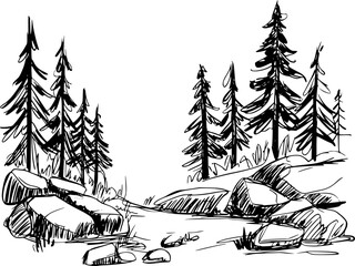 Hand Drawn of Pine Trees and Rocks in a Forest Landscape White Background nature © Abdul