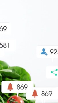 Vertical video: White fading, lettuce appearing, tomato rising, badges floating, showing likes