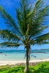 Obraz premium モーリシャスのとても美しいビーチ風景A view of a very beautiful white sand beach in Mauritia