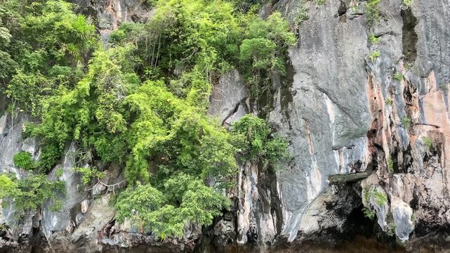 Lush tropical jungle landscape in Thailand with dramatic limestone cliffs and green vegetation, nature scenery.