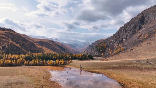 Explore breathtaking autumn landscapes of Altai mountains and valleys from an aerial perspective. panorama of mountains nature drone footage