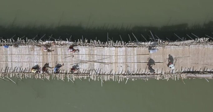 Top down descending aerial view of unidentified workers repairing the Kampong Cham bamboo bridge by hand over the Mekong River.