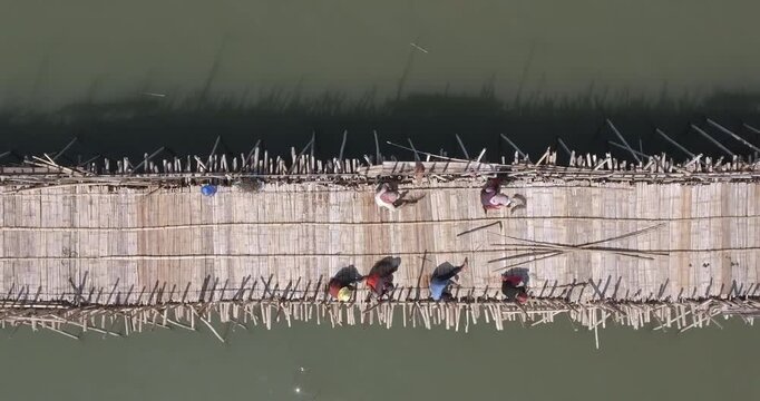 Top down fly over aerial view of unidentified workers repairing the Kampong Cham bamboo bridge by hand over the Mekong River.