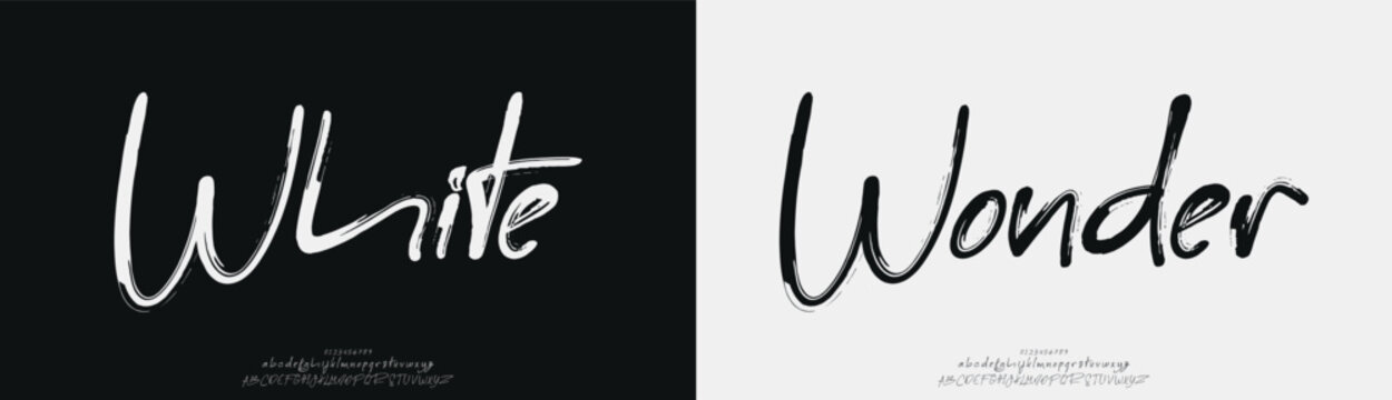 White Wonder, Script luxury wedding alphabet letters font with tails. Typography elegant classic serif fonts and number decorative vintage retro concept for logo branding. vector illustration
