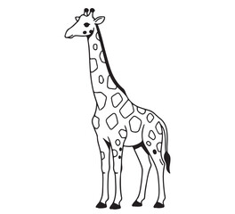 Obraz premium Simple black and white line art of a tall, elegant giraffe, a captivating wildlife illustration, showcasing its iconic long neck, perfect for any safari animal project