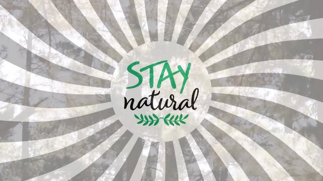 Animation of stay natural text and logo over rotating grey radial stripes and trees