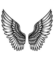 Obraz premium Symmetrical pair of feathered wings with detailed shading