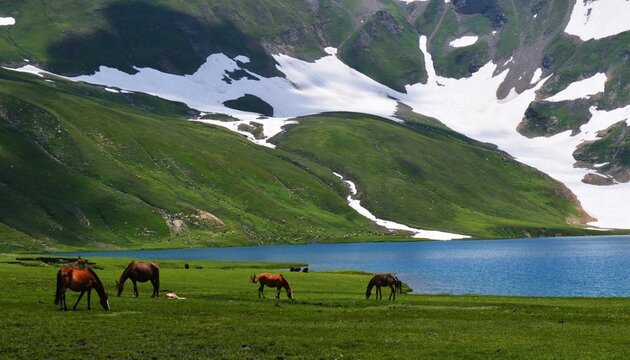 Dudipatsar Lake, also known as Dudipat Lake, is a lake encircled by snow-clad peaks in Lulusar-Dudipatsar National Park. The lake lies at the north end of the Kaghan Valley, in the Mansehra District