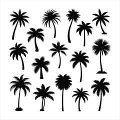 Naklejka premium Black Silhouette Palm Trees Collection Keywords: palm tree, silhouette, tropical, tree, nature