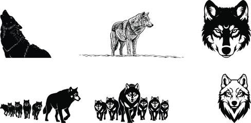 Collection of various wolf illustrations and silhouettes in different poses © Betty