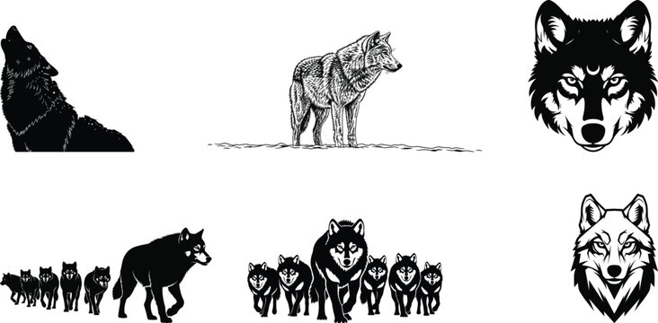 Collection of various wolf illustrations and silhouettes in different poses