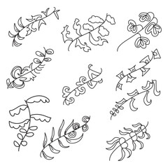 Obraz premium Black Vector Floral Botanicals Bundle 