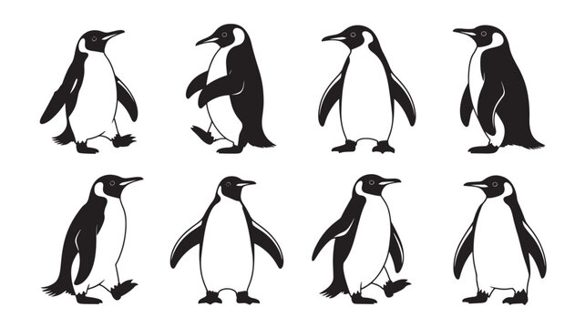 Set of eight penguin silhouette icons in different poses
