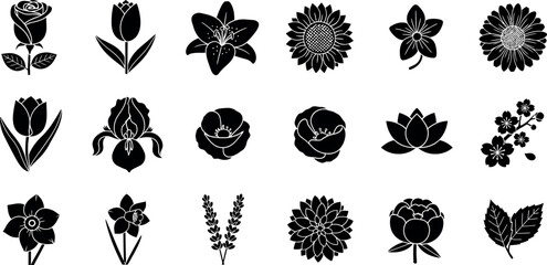 Collection of black and white floral and silhouettes flower rose 1 tulip lily © Graphic Shops