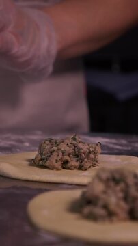 Delicious manti and khinkali are made from mutton, pork, veal and mushrooms. Asian and Georgian cuisine. Meat dishes. Vertical video