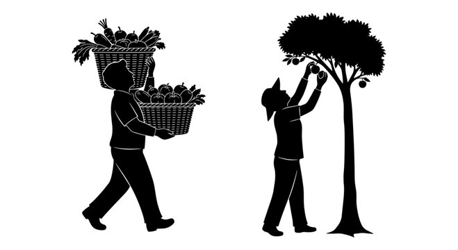 Black silhouette farmer harvesting fruit and vegetables, gardener carrying heavy baskets of produce, person picking apples from tree vector
