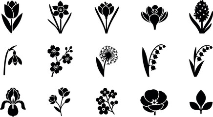 Fototapeta premium Collection of black flower on white background tulip daffodil crocus hyacinth
