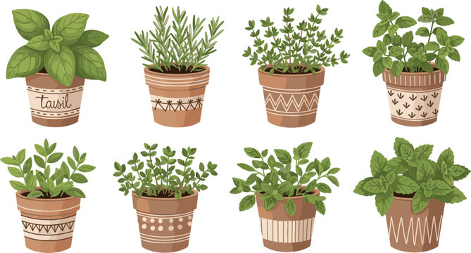 Herb Plants in Decorative Pots, Featuring Basil, Mint, Thyme, and Rosemary with Geometric Patterns