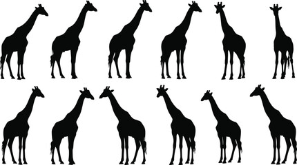 Giraffe silhouettes set isolated on white background, black african safari animal standing and walking vector illustration, diverse wildlife poses for professional graphic design projects. © MstAshida