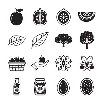 Fresh Fruit Icons: Fig Leaves Trees Basket Jar Bottle FlowerMinimalist Vector Graphics