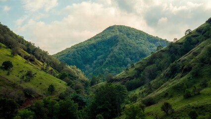 Fototapeta premium Lush green hills roll beneath a soft, cloudy sky