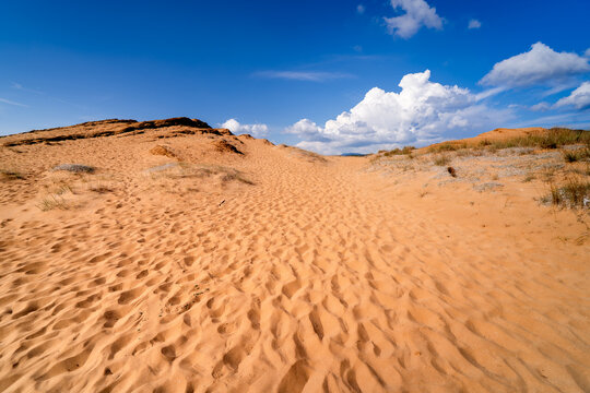 Sand dunes in the wild natural landscape of Greece, Corfu, Issos Beach.