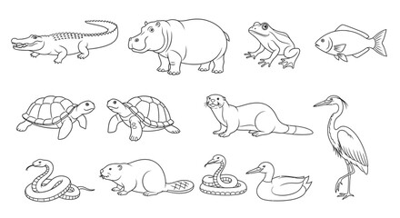 Obraz premium Collection of Various Wild Animal Illustrations.