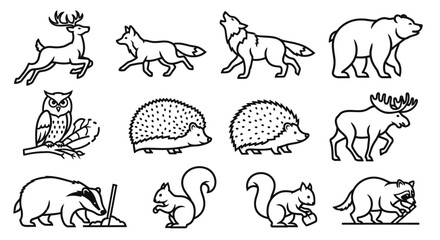 Obraz premium Various forest animals in simple line drawings.