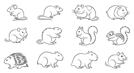 Fototapeta premium Various small rodent animal line drawings.