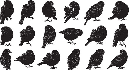 set of 36 bird grooming silhouettes flat design vector illustration © IftiarJony