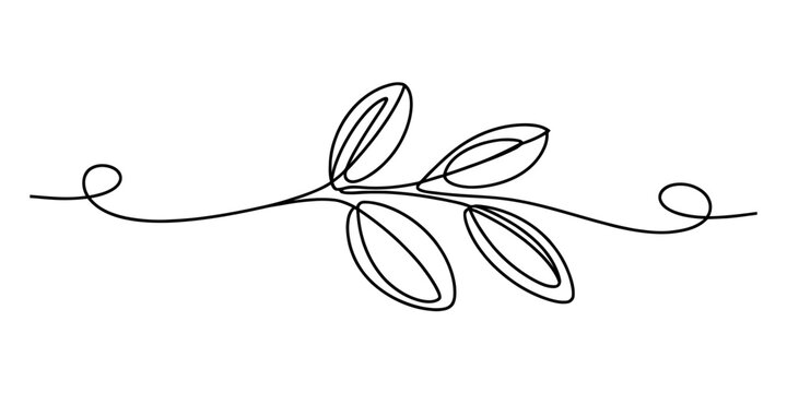 A minimalist single line drawing of a small sprig with leaves in black on a white background Vector, illustration
