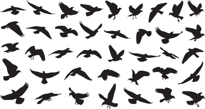 flock of migrating birds flying in formation vector illustration
