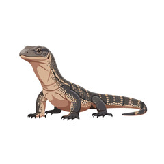 Obraz premium Lizard standing with brown and black scales on white background