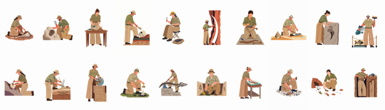 Large collection of paleontologists and archaeologists excavating and researching prehistoric fossils, dinosaur bones and ancient artifacts in a flat vector illustration style.